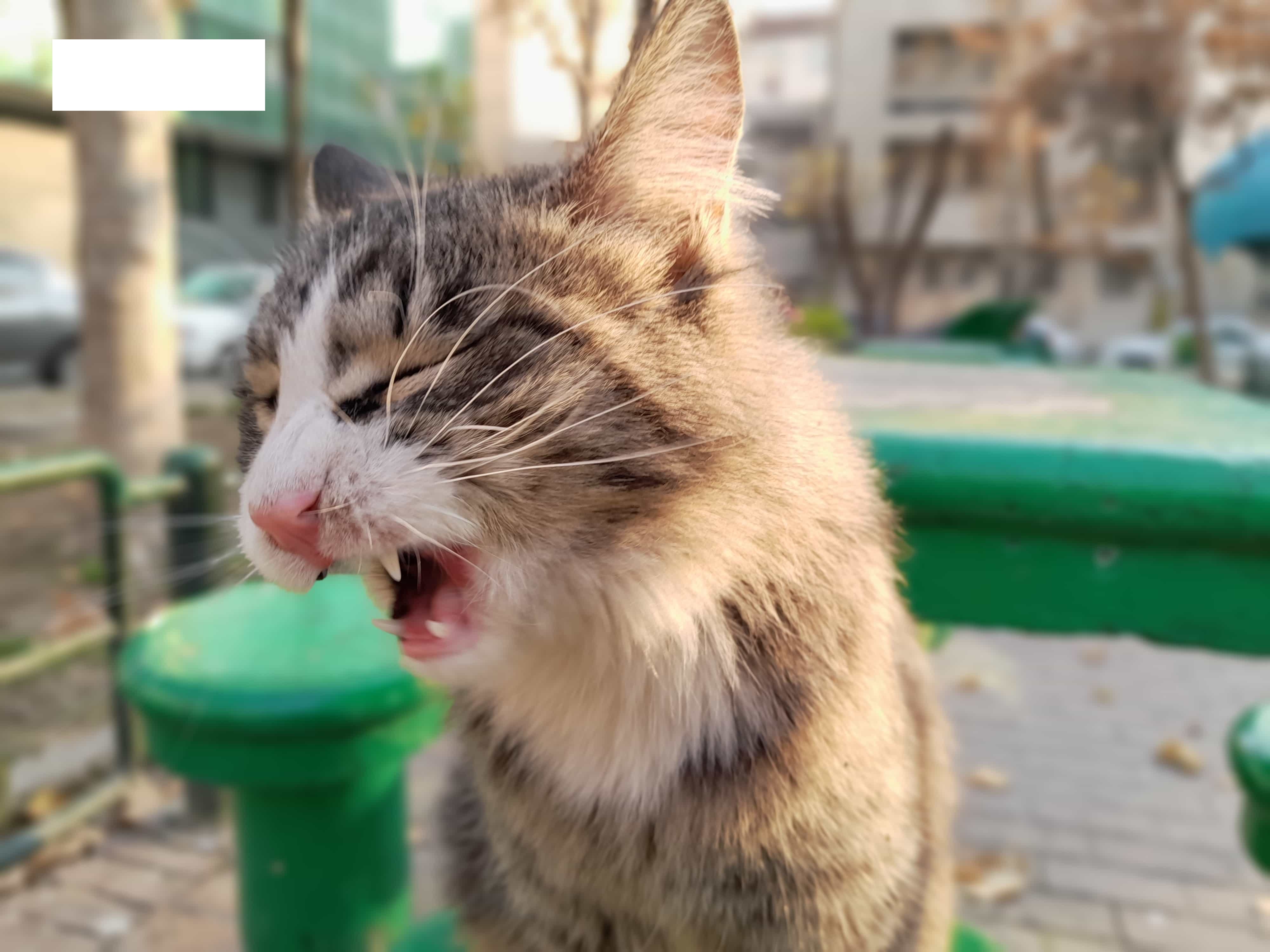 کیفیت عکس دوربین گلکسی M12